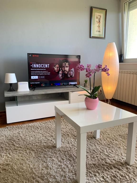 Sunkissed apartment - 2