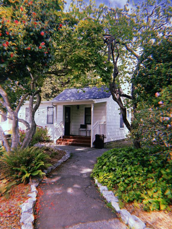 Santa Cruz Hostel photo