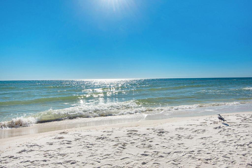 Shores of Panama III photo
