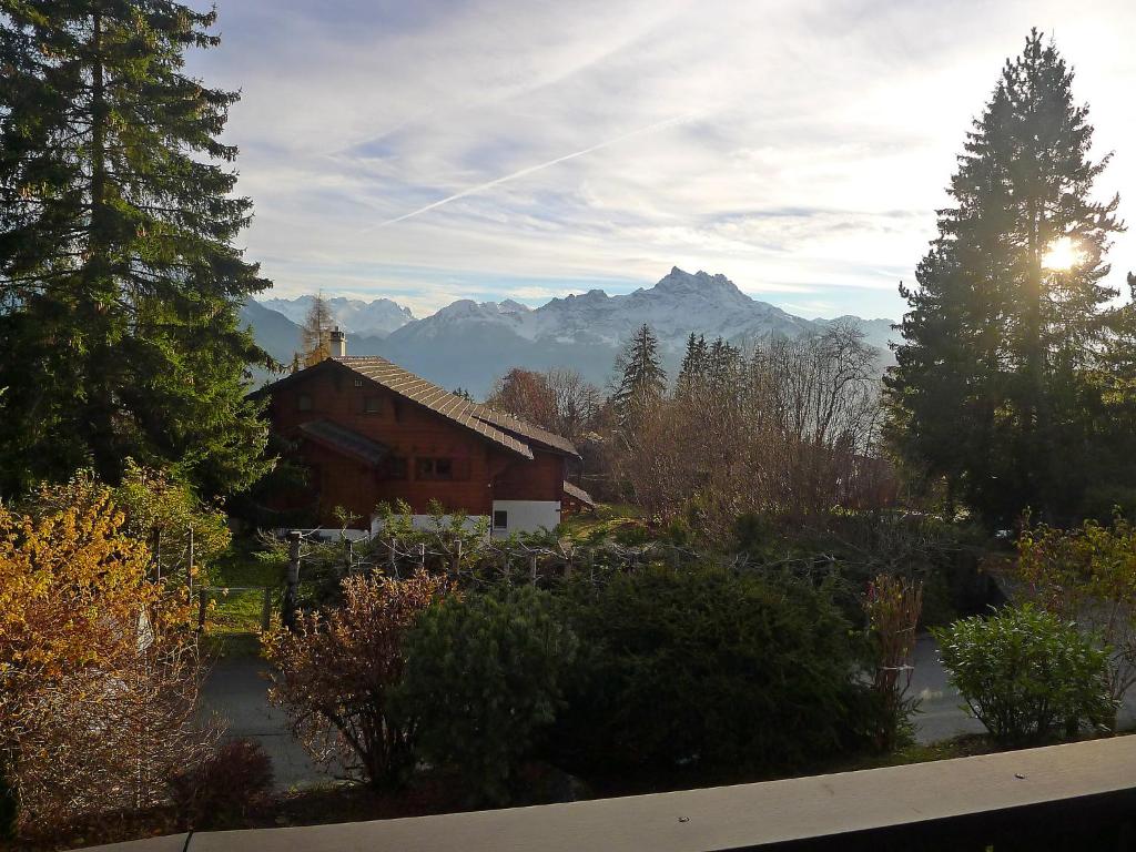 Apartment Le Mont Blanc 8 by Interhome - 5