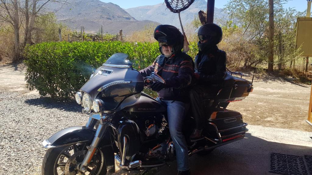 Alto Ciprés - 4