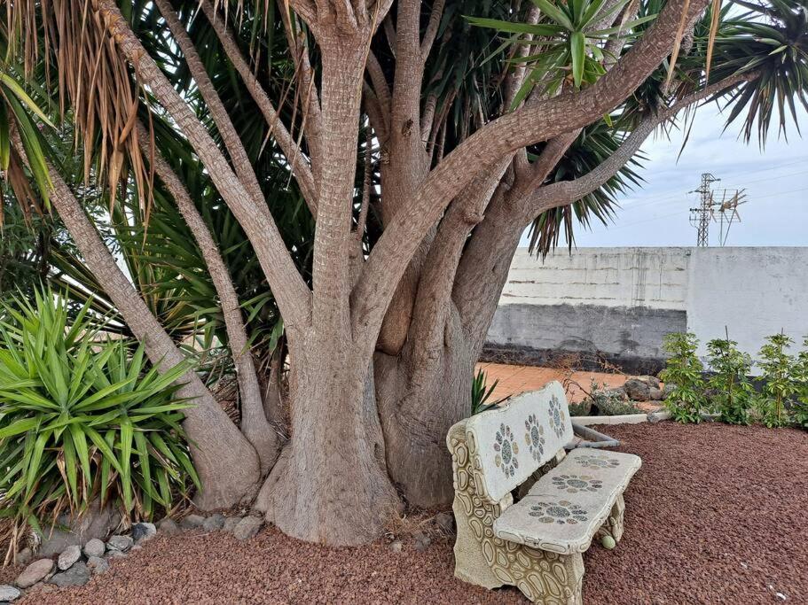 Tenerife Apartment Dulcynea with terrace and garden 600m2 with ocean and Teide view - 2