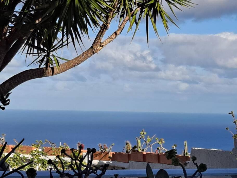 Tenerife Apartment Dulcynea with terrace and garden 600m2 with ocean and Teide view - 5