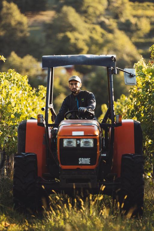 Il Roncal Wine Resort - for Wine Lovers photo