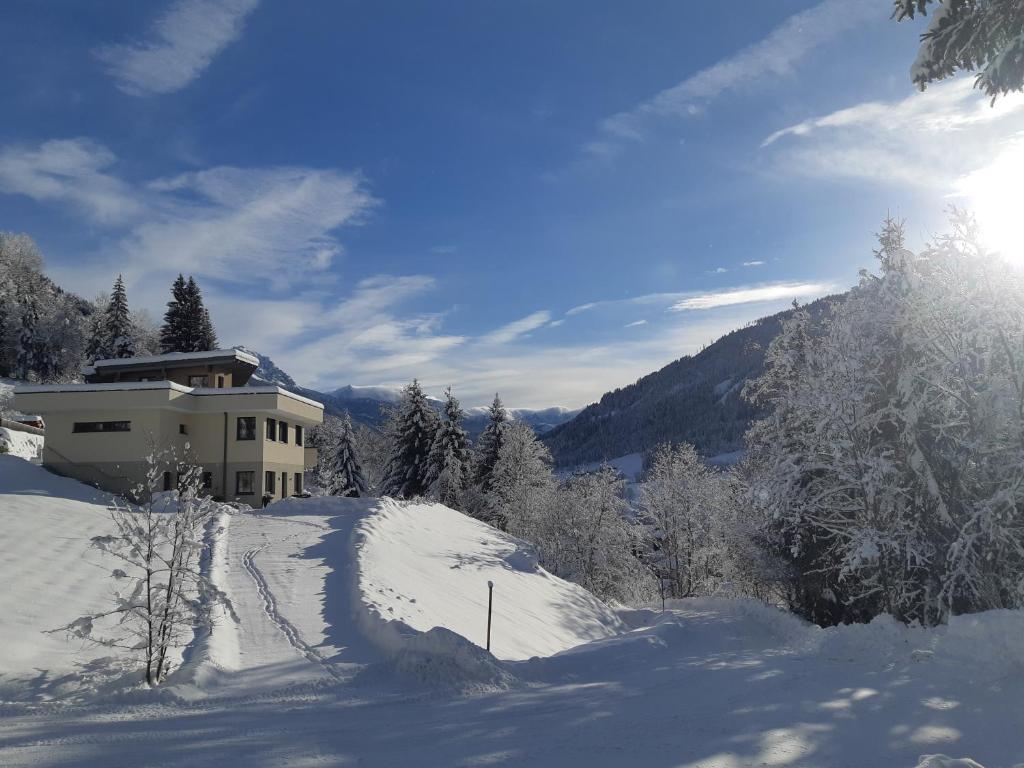 Haus Holzmann - 2