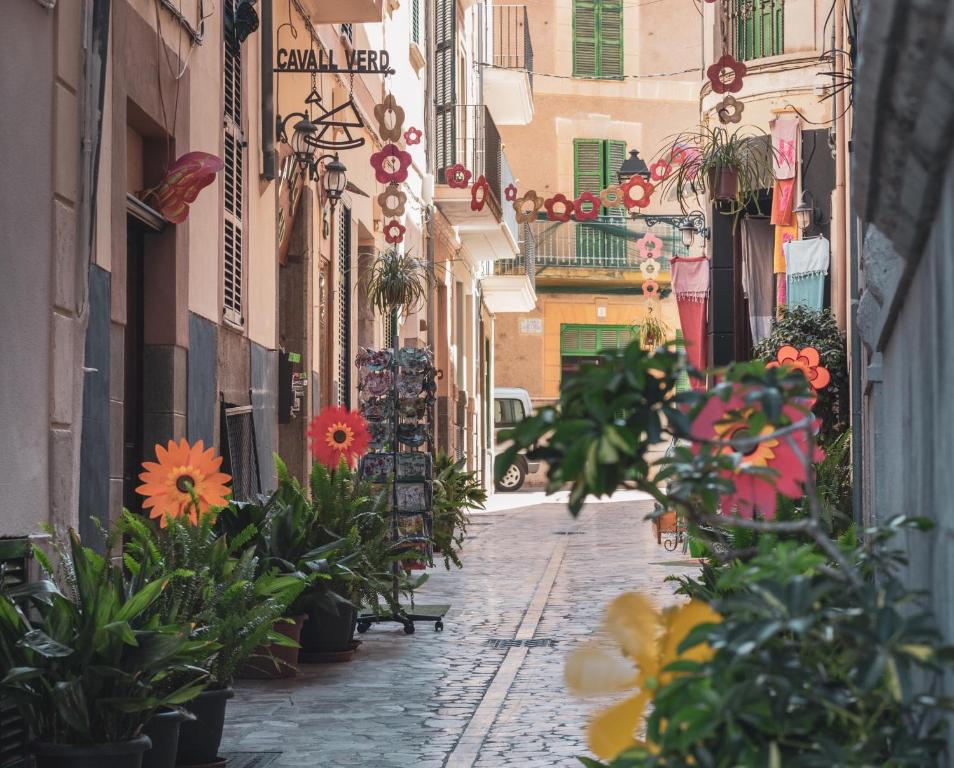 Ca’s Cuscanti — Hotel in Majorca