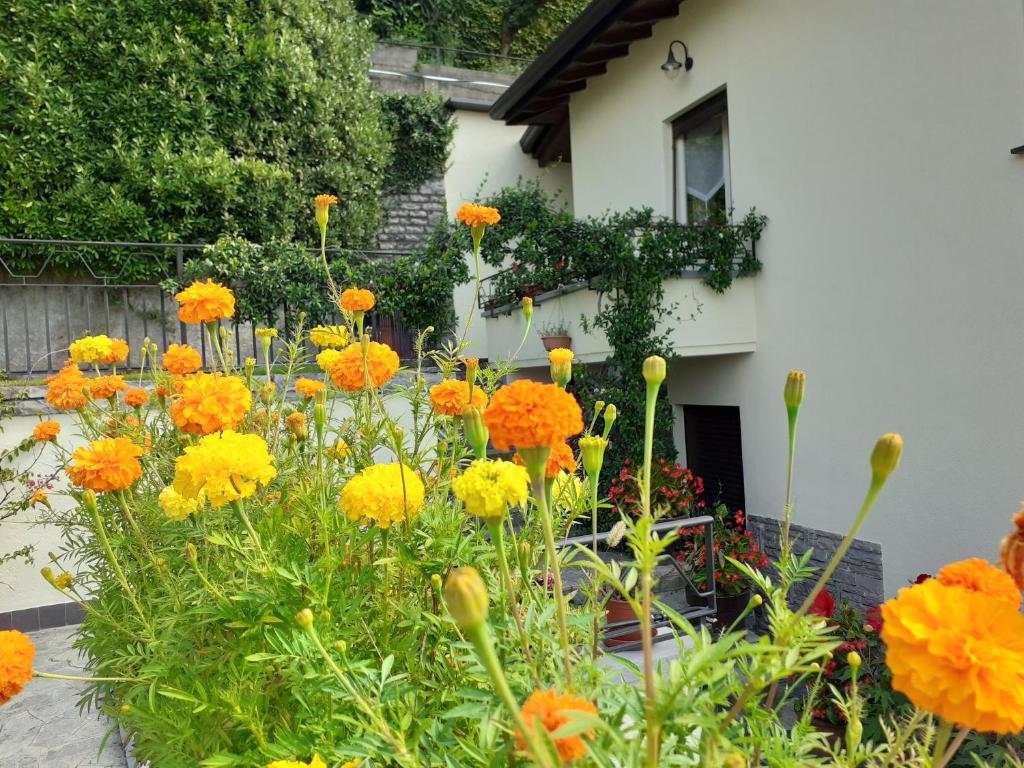 La casa degli oleandri - 5