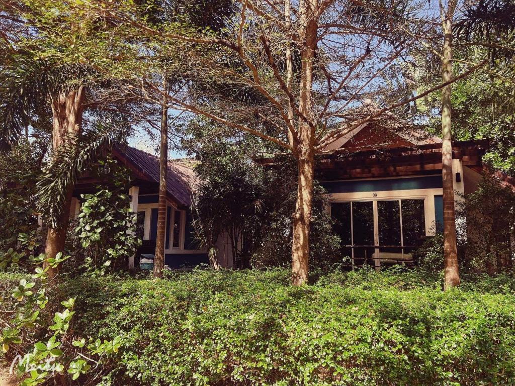 ทัศนียภาพ