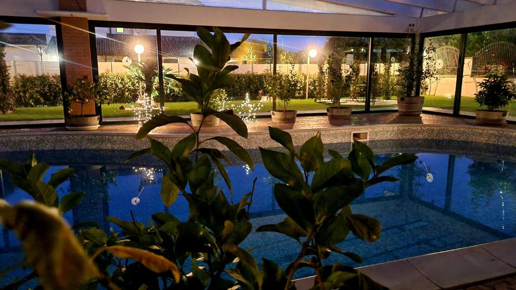 Relax Apartments photo