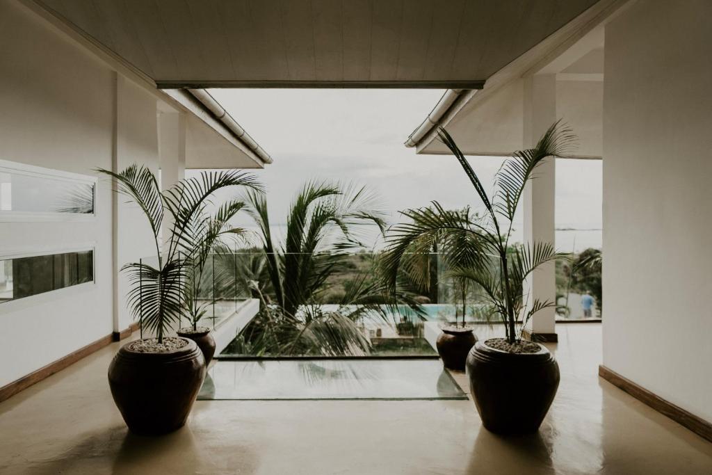 The Palm Residence by Amazing Zanzibar photo