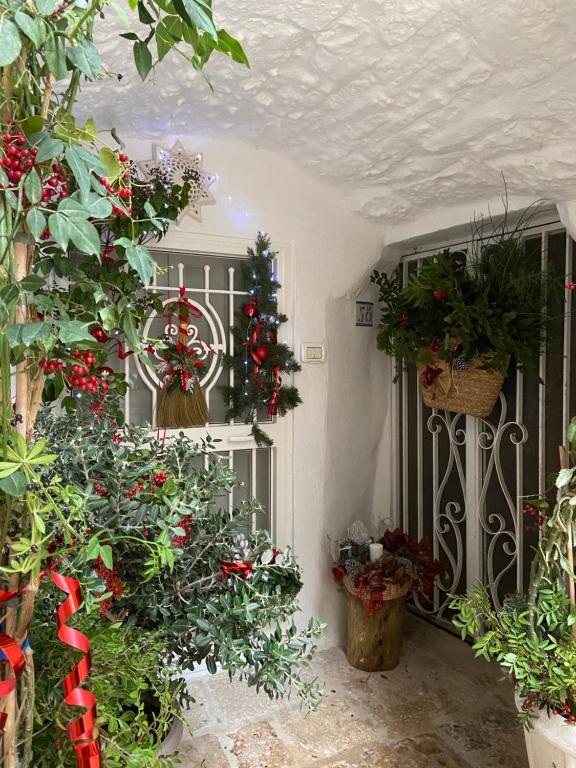 Il Giardino del Borgo - 3