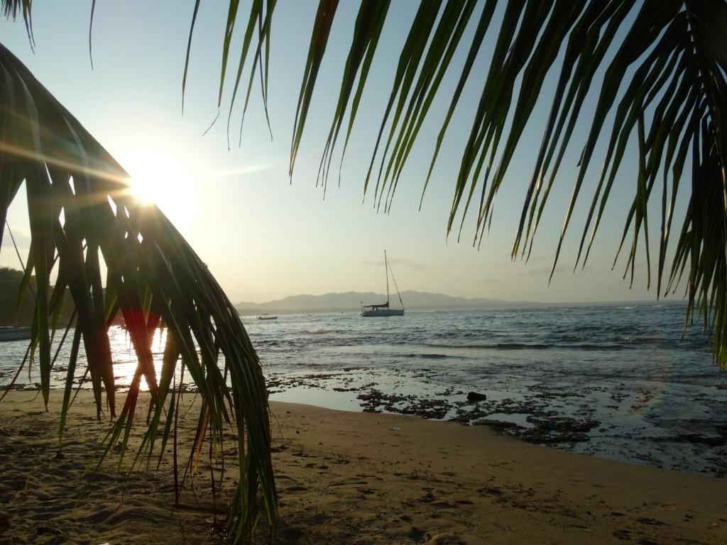 Caribbean Secret photo