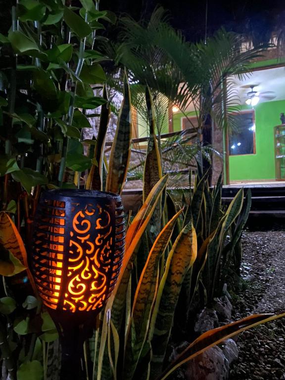 Yanay, Natural Retreat & Hotel photo