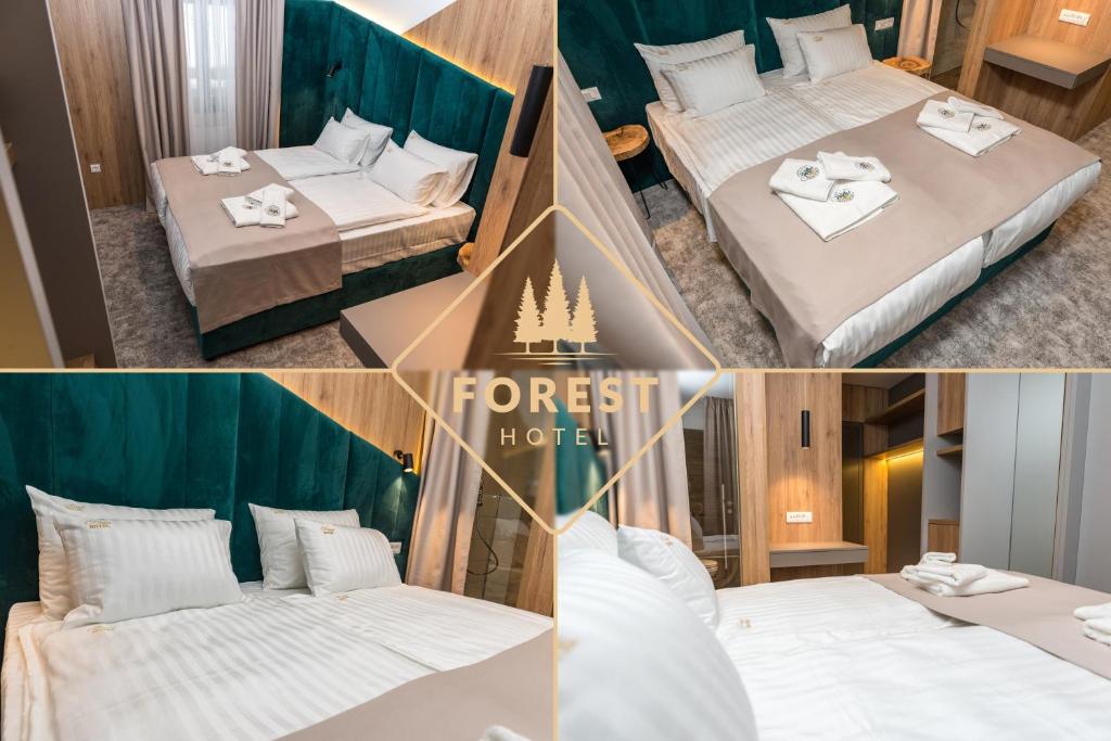 Hotel Forest - 3