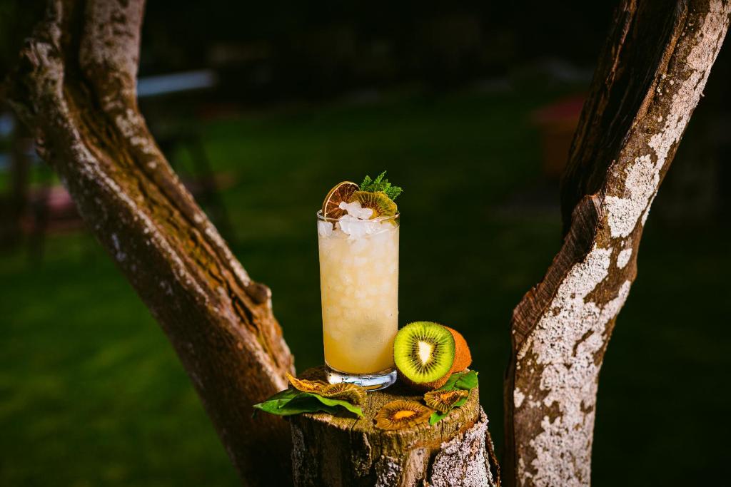 お料理のイメージ