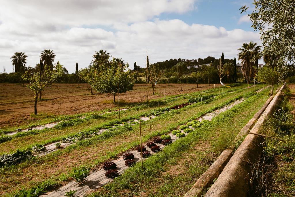 お料理のイメージ