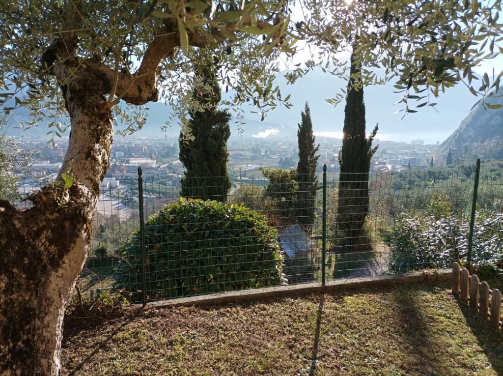 Lake View Studio Flat - 2