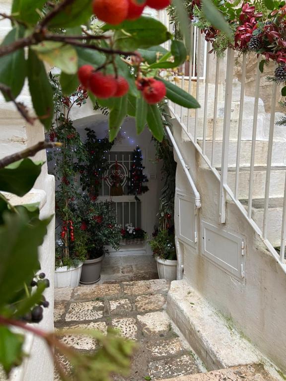 Il Giardino del Borgo - 2