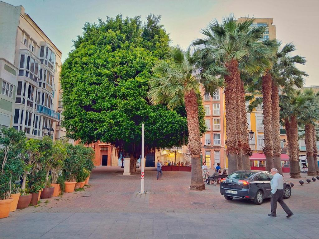 Apartamentos Turisticos Alba photo