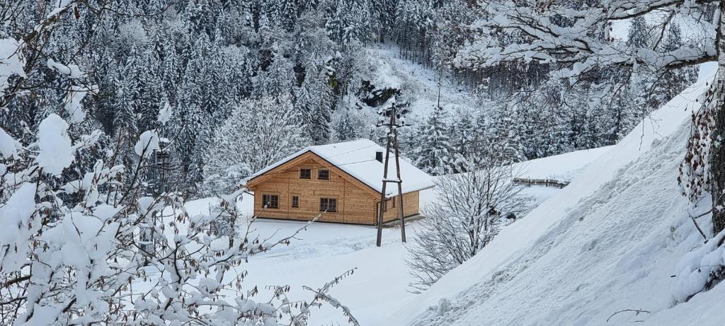 Köck-Chalet - 5