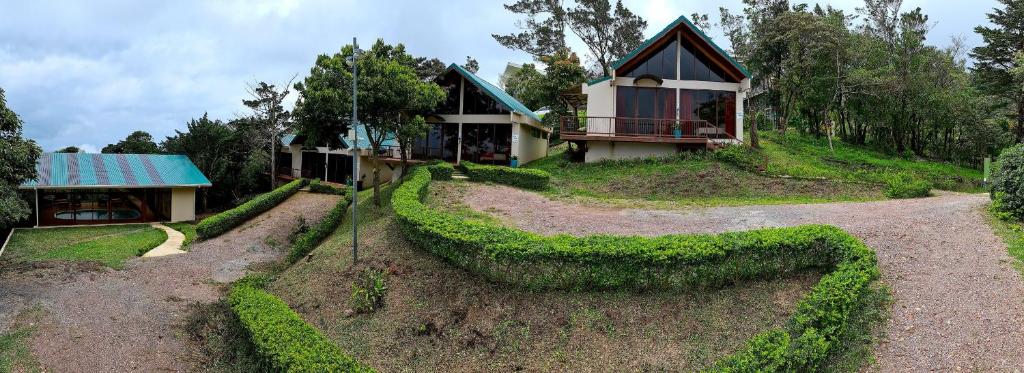 Green Forest Rustic Houses photo