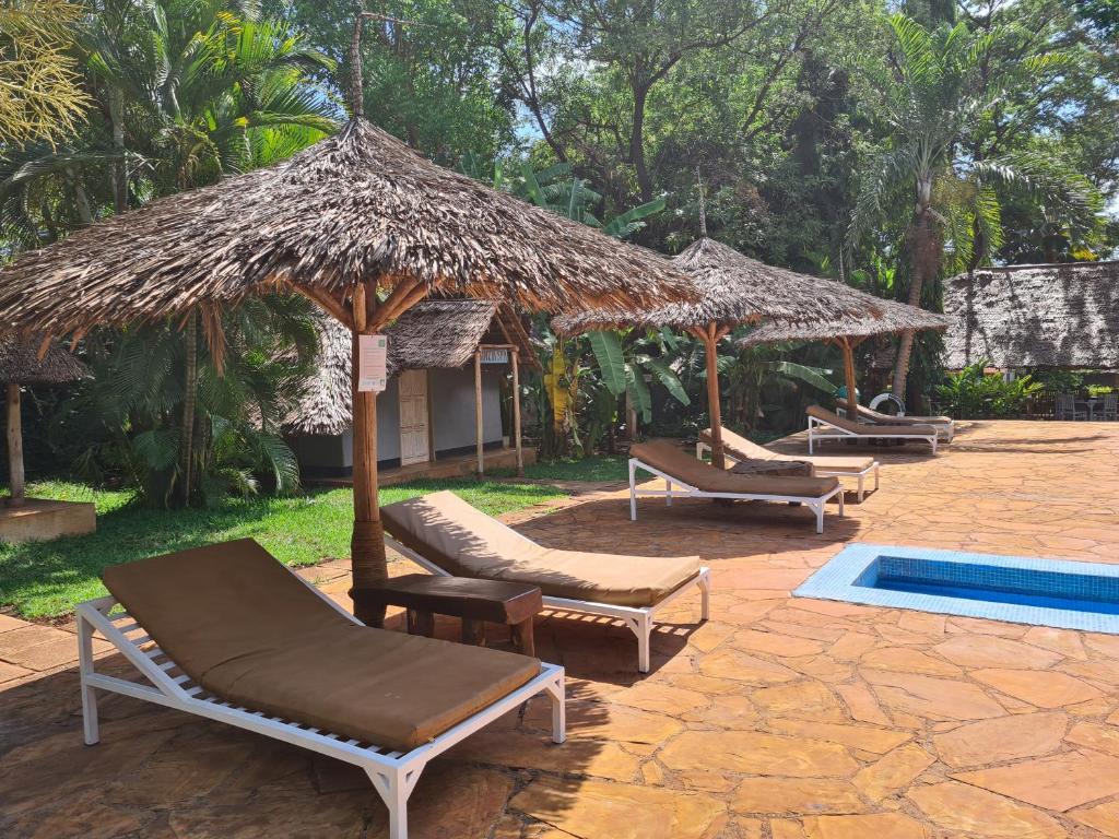 Honey Badger Lodge Moshi photo