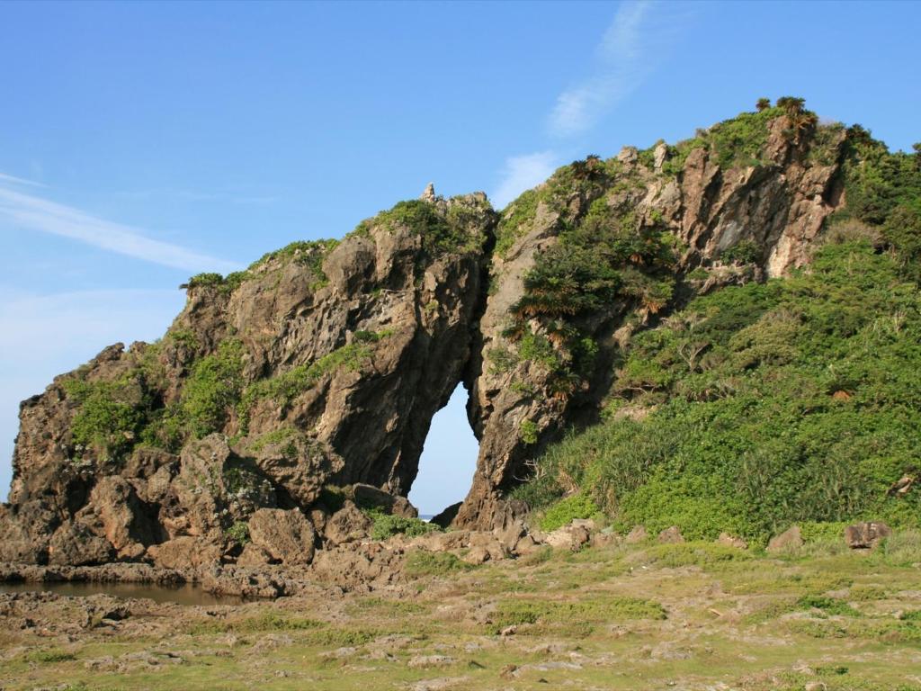 Surrounding environment