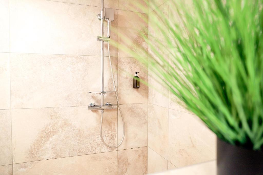 Smart Resorts Saphir 506 photo