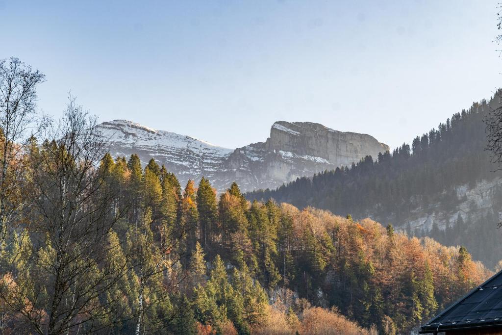 D`Alpenapartments Bezau photo