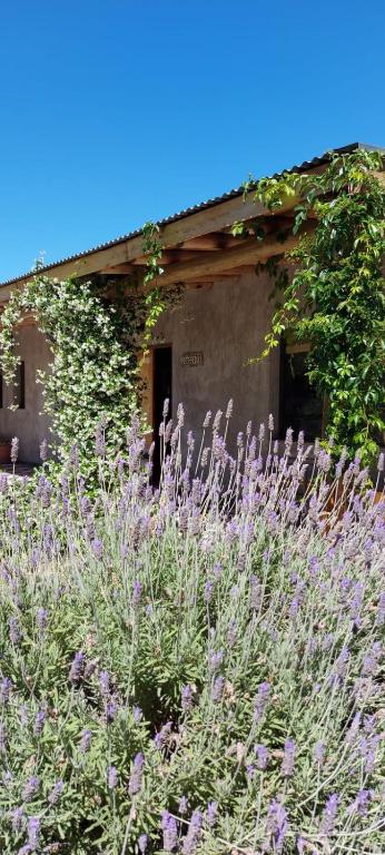 Tikaykilla Lodge & Wines photo