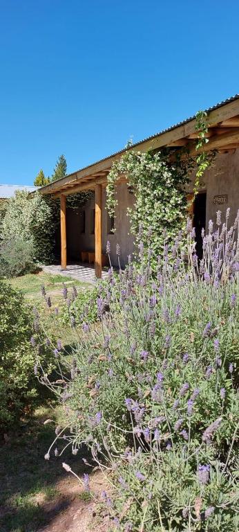 Tikaykilla Lodge & Wines photo