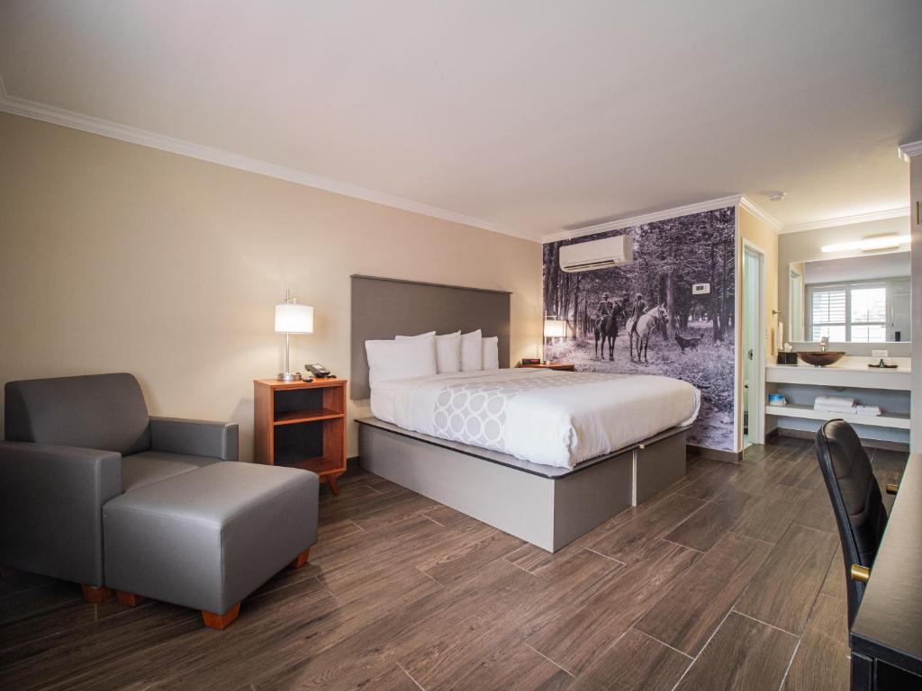 Equus Inn photo