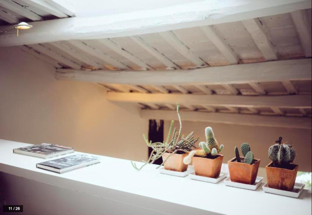 Luxury art apartment in Trastevere with terrace - 4