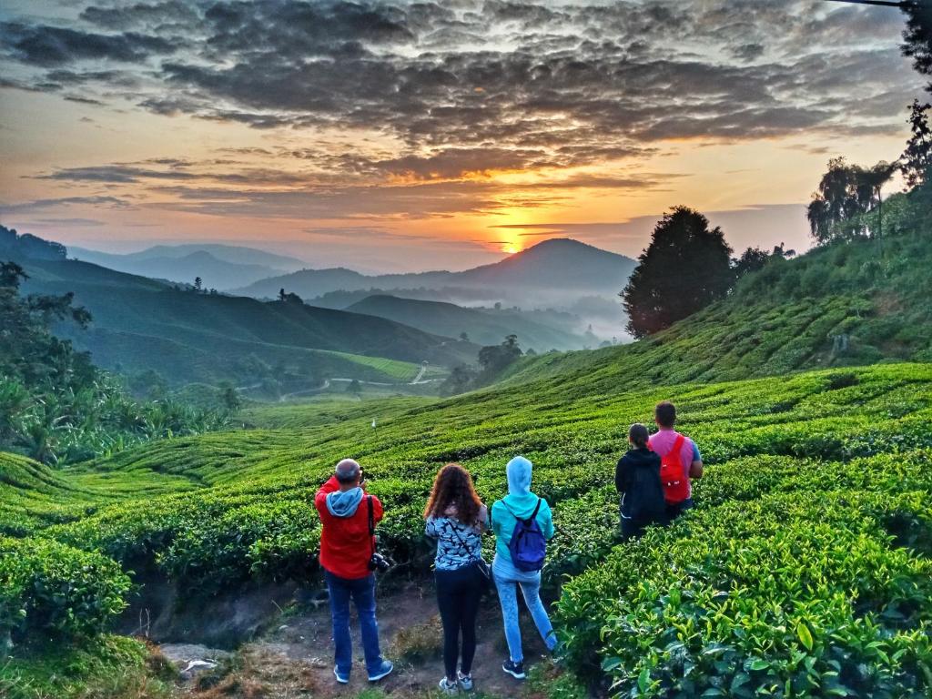 100 Backpackers Hostel — Hotel in Cameron Highlands