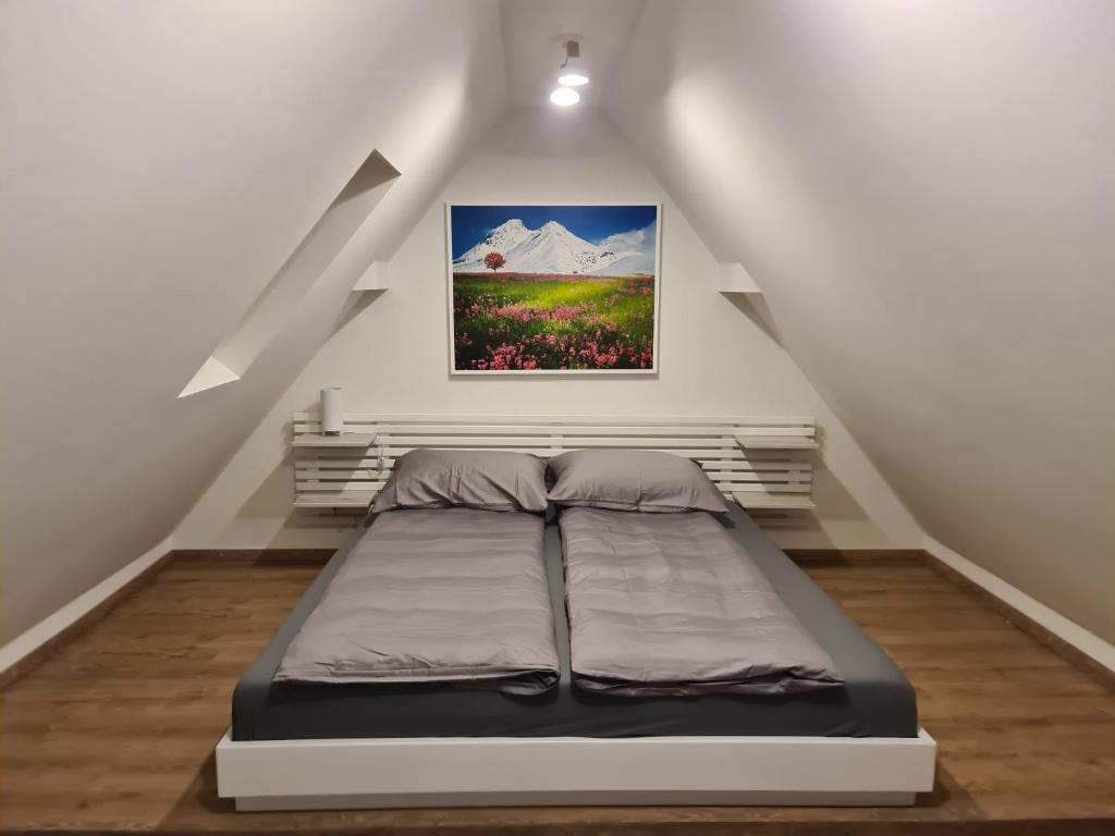 Gabi Apartments Kopaonik - Kraljevi cardaci - 4