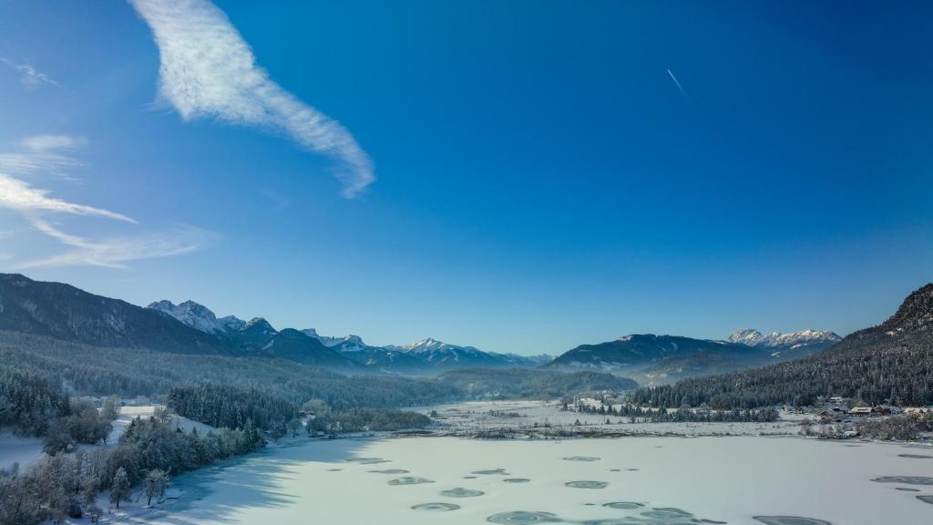 Surrounding environment