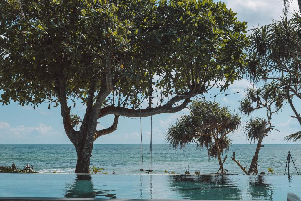 The Naomi Beach Resort photo