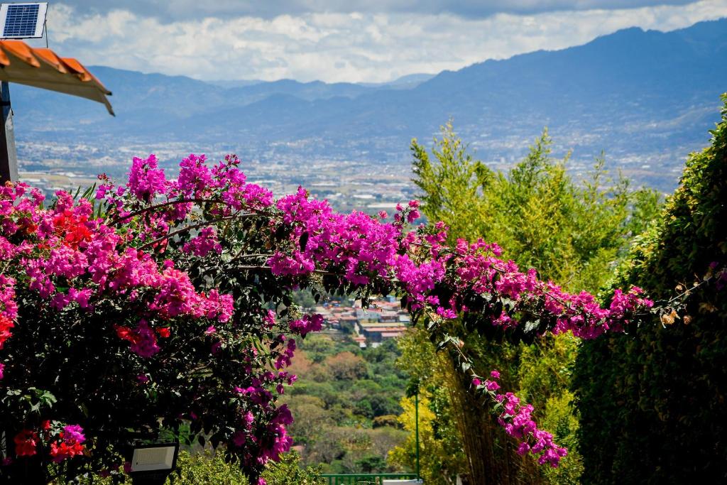 Surrounding environment