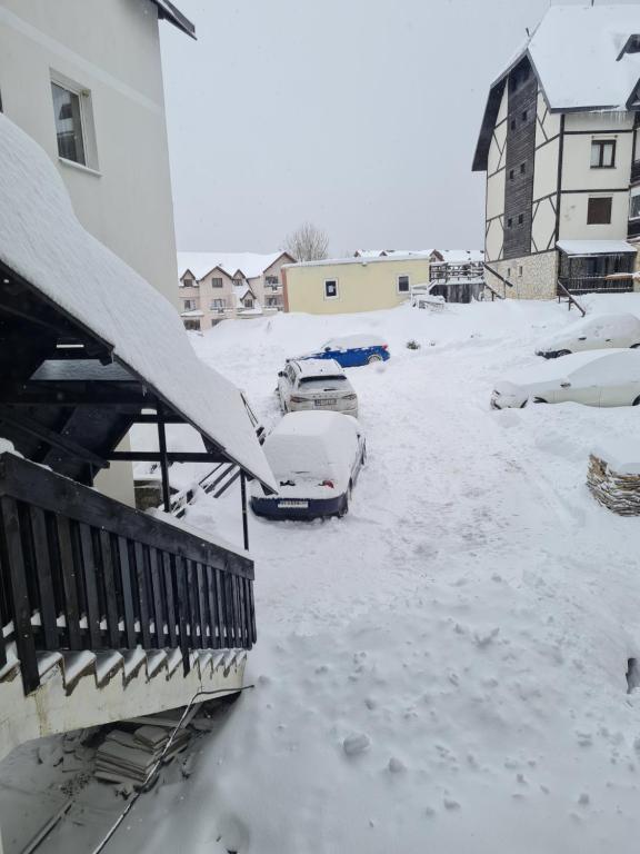 Cosy apartment Marina - 4