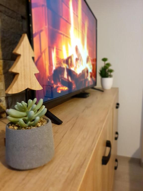 Milmari Lux Apartment S&M Kopaonik - 5