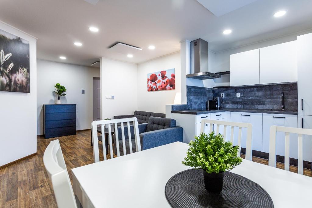 Apartmány Na Výhledech, Loučná pod Klínovcem