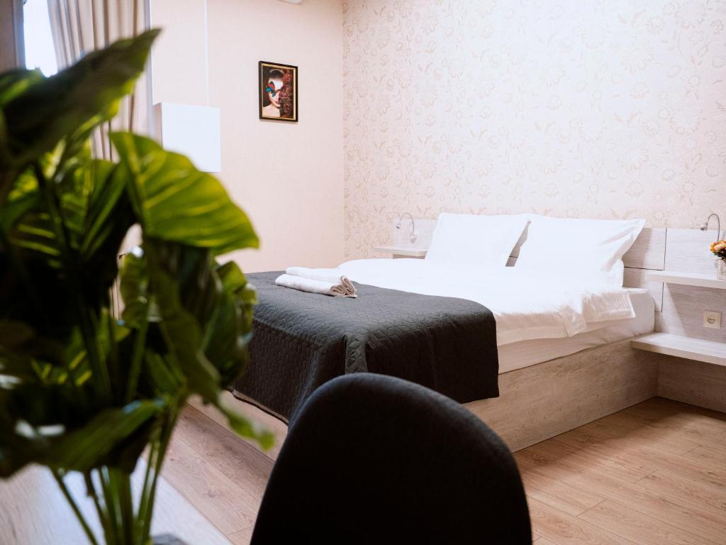RMS Rustaveli Apartments — Hotel in Tbilisi