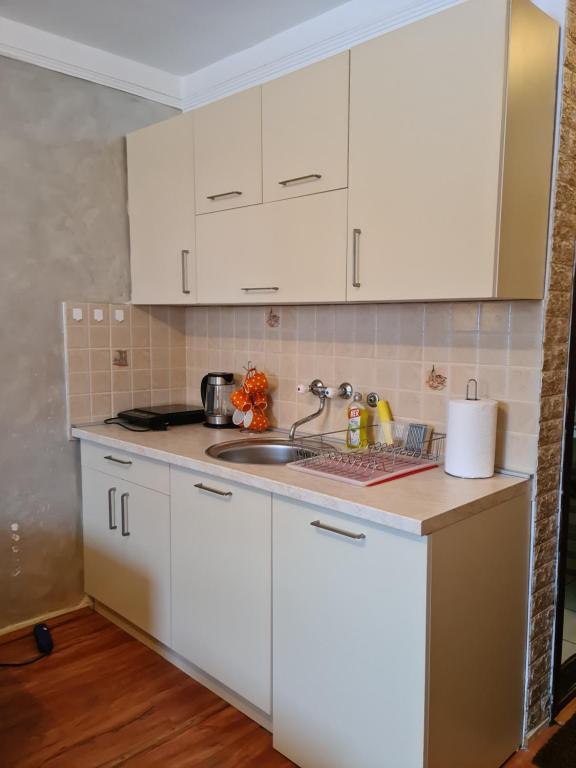 Apartments Alpi photo