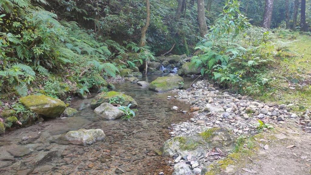 周辺観光スポット