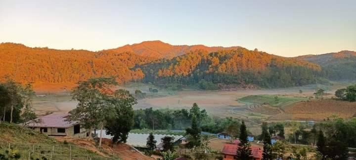 Surrounding environment
