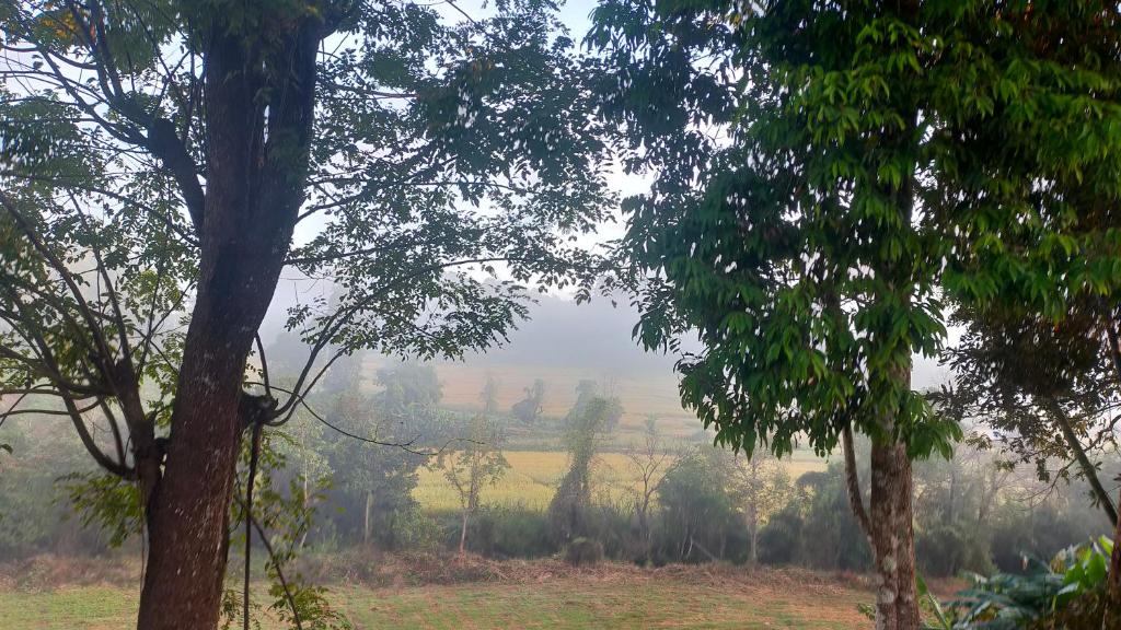 Surrounding environment