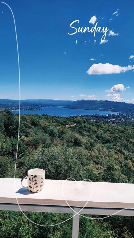 TERRAZAS DE LA COMARCA - 1