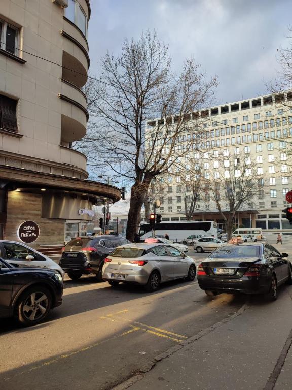 Belgrade apartment Bulevar - 5