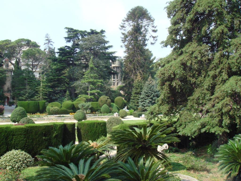 LES GRANDS CEDRES C1 7 Avenue de Fabron - 3