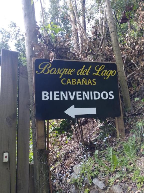 Bosque del Lago - 2